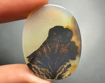 May include: A polished oval-shaped agate cabochon with a dendritic pattern in shades of brown, black, and white.