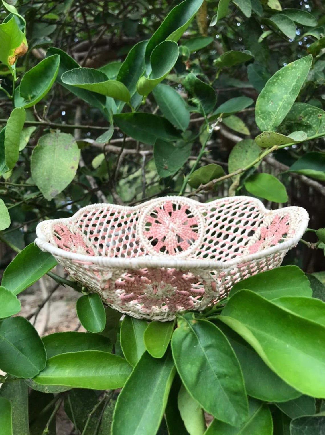 Iraca/Straw Bread Basket Etsy