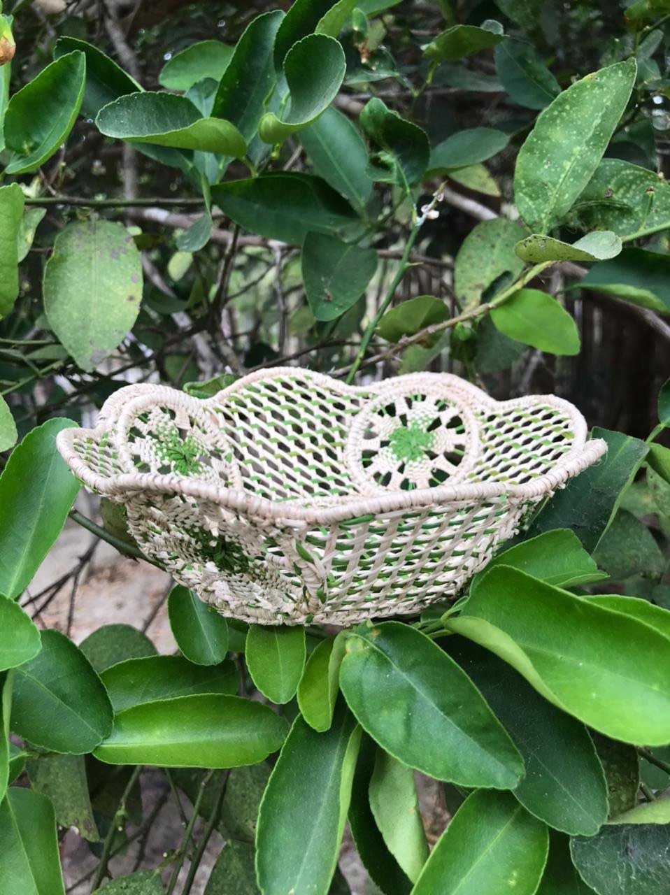 Iraca/Straw Bread Basket Etsy