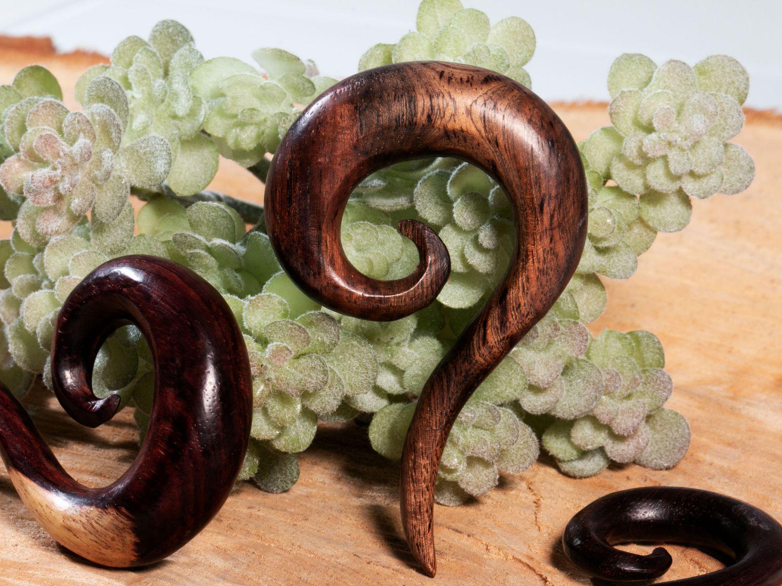 Spirale Della Lumaca Immagine Stock. Immagine Di Spirale - 21029007 - Foto 12