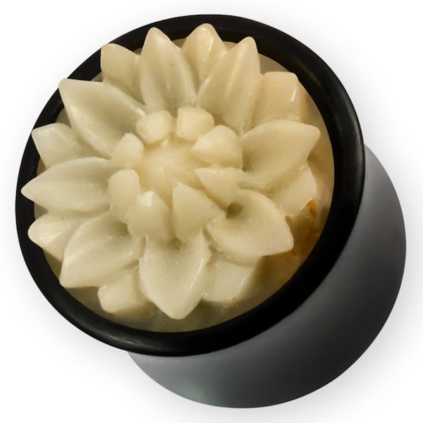 Horn Ear Plugs Lotus Flower with carved Tagua Nut Inlay