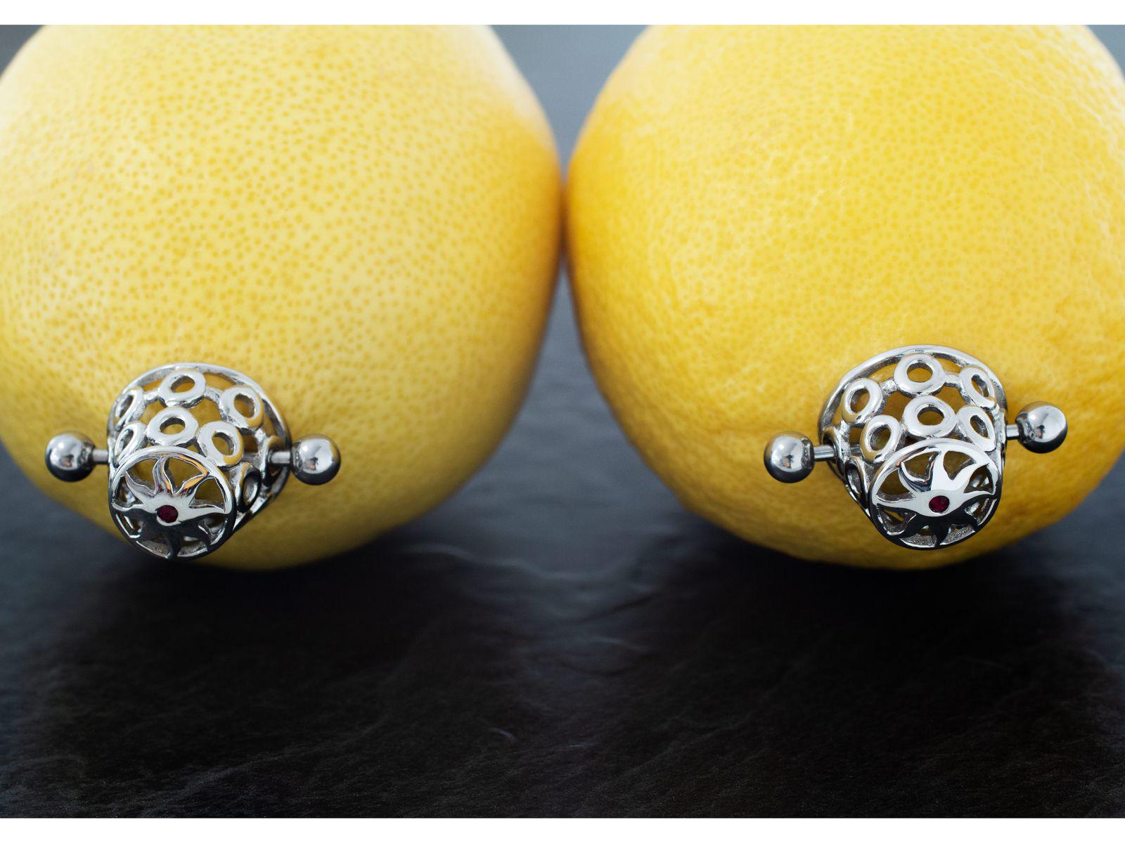 Intimate Rings Metal Nipple Piercing Made of 316L Stainless Steel - Intimate Jewelry With ...