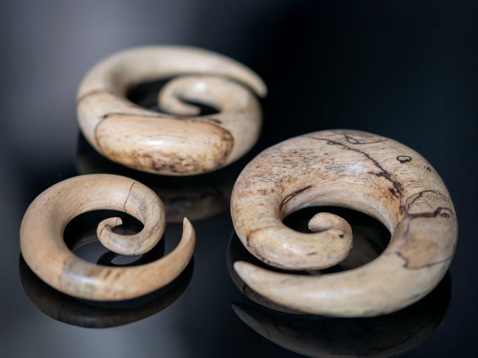 Spirale Della Lumaca Immagine Stock. Immagine Di Spirale - 21029007 - Foto 4