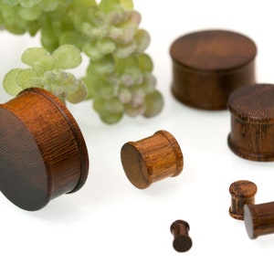 Wooden Ear Plug Flesh Tunnel Parasite Wood Piercing Jewelry brown 4-30 mm