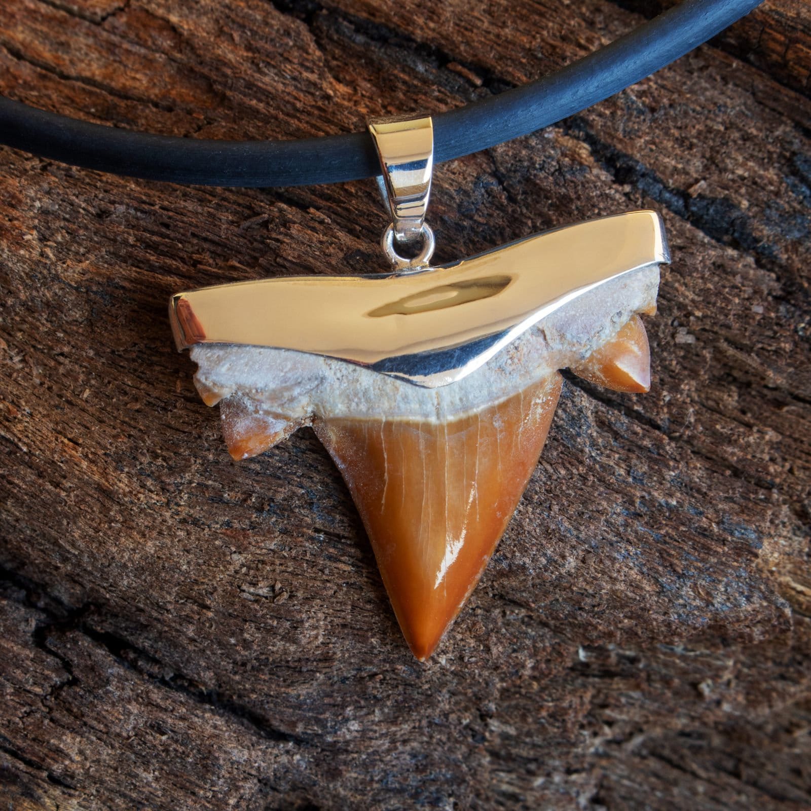 925 Silver Pendant Fossil Shark Tooth Genuine Shark Teeth Surfer Necklace Beach Jewelry