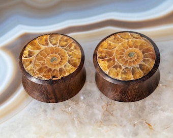 Holz Plugs Ohr mit Ammoniten, Horn Flesh Tunnel Ammonit bis 30mm, Ear Plugs Nautilus Goldschnecken