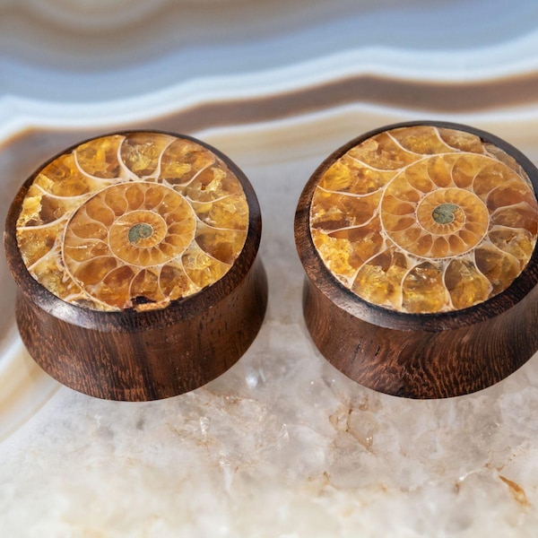 Wooden Ear Plugs Ammonite, Horn Flesh Tunnel Nautilus, Ear Gauges golden