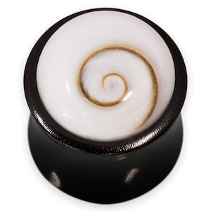 Oordopje van buffelhoorn met Shiva-oog, vleestunnel, oorbel van Shiva's oogschelp.