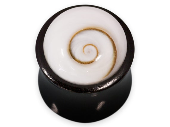 Ohr Plug aus Büffel-Horn mit Shiva-Auge Flesh Tunnel Shivas Eye Muschel Ohrring