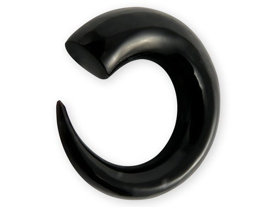 Spirale Della Lumaca Immagine Stock. Immagine Di Spirale - 21029007 - Foto 6