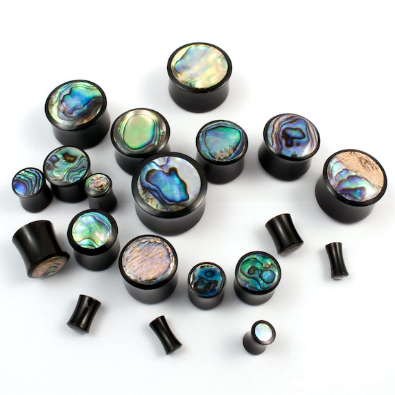 Horn Ear Plug Paua Abalone Shell Plugs Mother of Pearl Organic