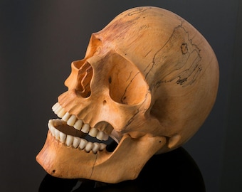 Handcrafted Skull 20 cm - Large Wooden Skull with Movable Jaw for Skull Lovers