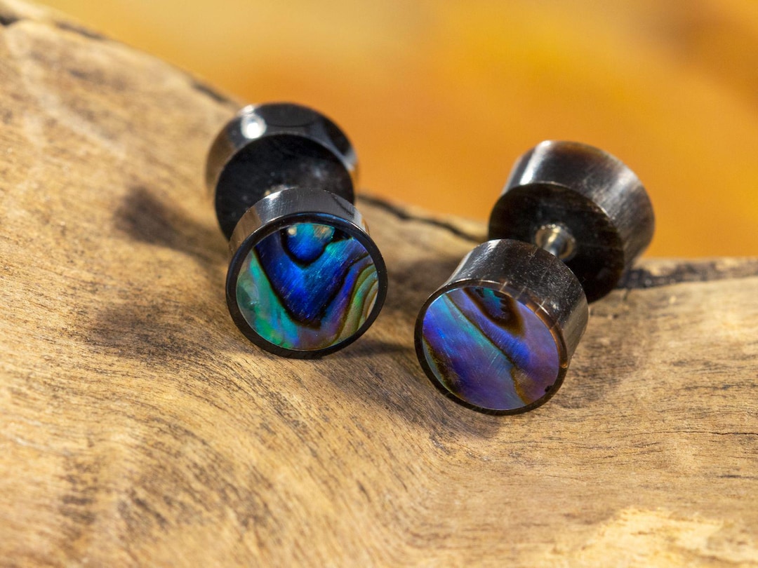 Ear Studs With Paua Shell , Fake Earrings Abalone, Horn Earrings Small ...