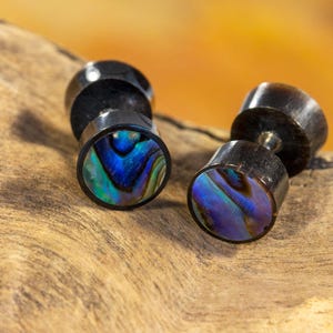 Könnte beinhalten: Ein Paar Ohrstecker aus schwarzem Holz und Abalone-Muschel. Die Stecker sind rund und haben einen silbernen Metallstift. Die Abalone-Muschel ist irisierend und hat Blautöne, Grüntöne und Violetttöne.
