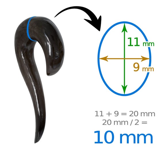 Spirale Della Lumaca Immagine Stock. Immagine Di Spirale - 21029007 - Foto 9