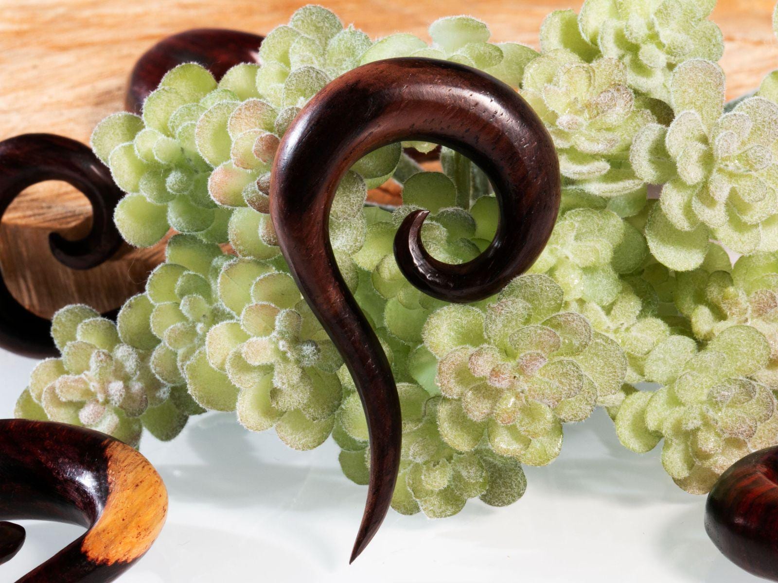 Lumaca Su Una Foglia, Con Forme Geometriche - Pagine Lumaca Da Colorare