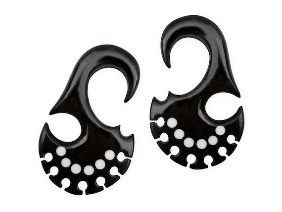 Spirale Della Lumaca Immagine Stock. Immagine Di Spirale - 21029007 - Foto 11