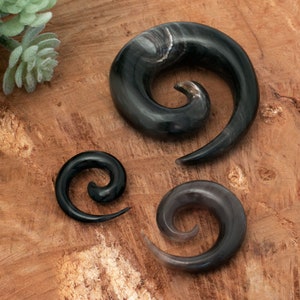 Dilatatore auricolare a spirale nero, dilatatore auricolare a forma di lumaca, dilatatore auricolare a tunnel, dilatatore auricolare a mezzaluna