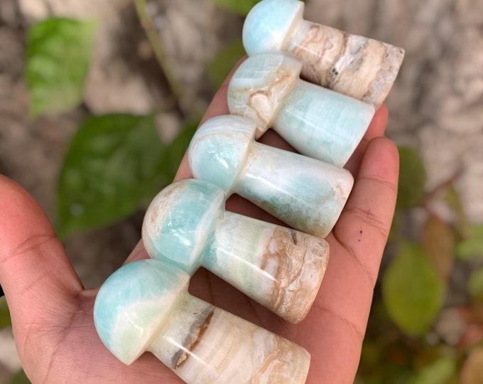 Caribbean Calcite Mushrooms, Calcite Mushroom, Blue Calcite Mushrooms, Caribbean Mushrooms, Blue Caribbean Calcite Mushrooms, Blue Calcite