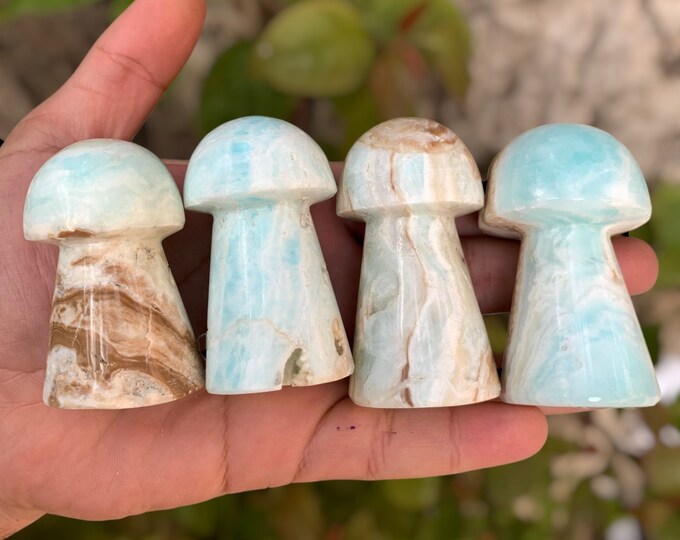 Caribbean Calcite Mushrooms, Calcite Mushroom, Blue Calcite Mushrooms, Caribbean Mushrooms, Blue Caribbean Calcite Mushrooms, Blue Calcite