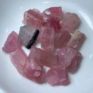 May include: A collection of pink and black tourmaline crystals, some with striations, on a white surface.