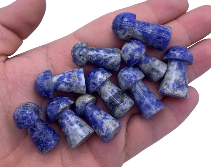 10 Pcs Amazing Quality Blue Color K2 Jasper Mushrooms, K2 Jasper, K2 Azurite Mushroom, K2 Jasper Stone