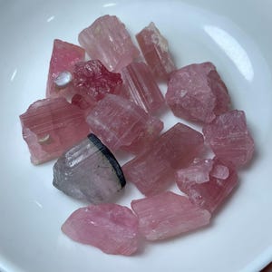 May include: A collection of pink and black tourmaline crystals. The crystals are raw and have a variety of shapes and sizes. Some of the crystals have a black stripe running through them.