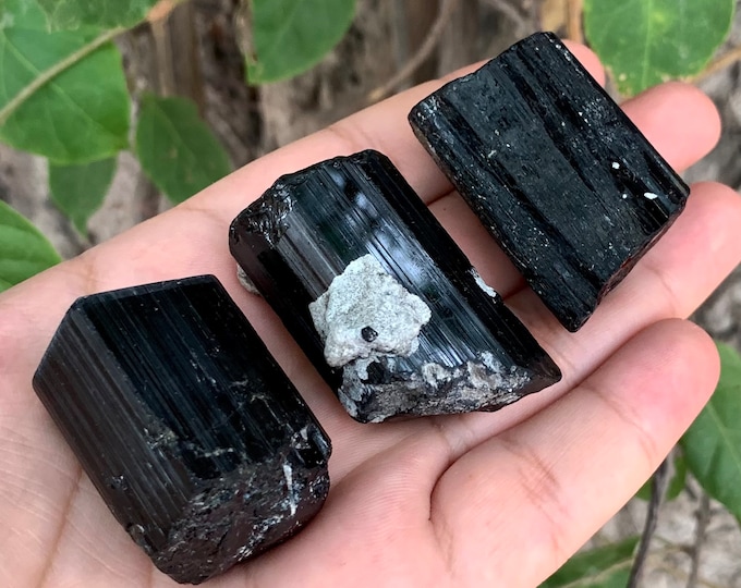 Lustrous Black Tourmaline , Black Tourmaline Crystal, Tourmaline Crystal, Black Tourmaline, Tourmaline, Tourmaline Stone Crystals, Crystals