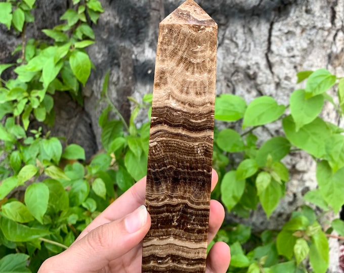 590g Beautiful Chocolate Calcite Tower, Chocolate Calcite Obelisk, Chocolate Calcite Tower, Calcite Stone Tower, Chocolate Calcite Tower