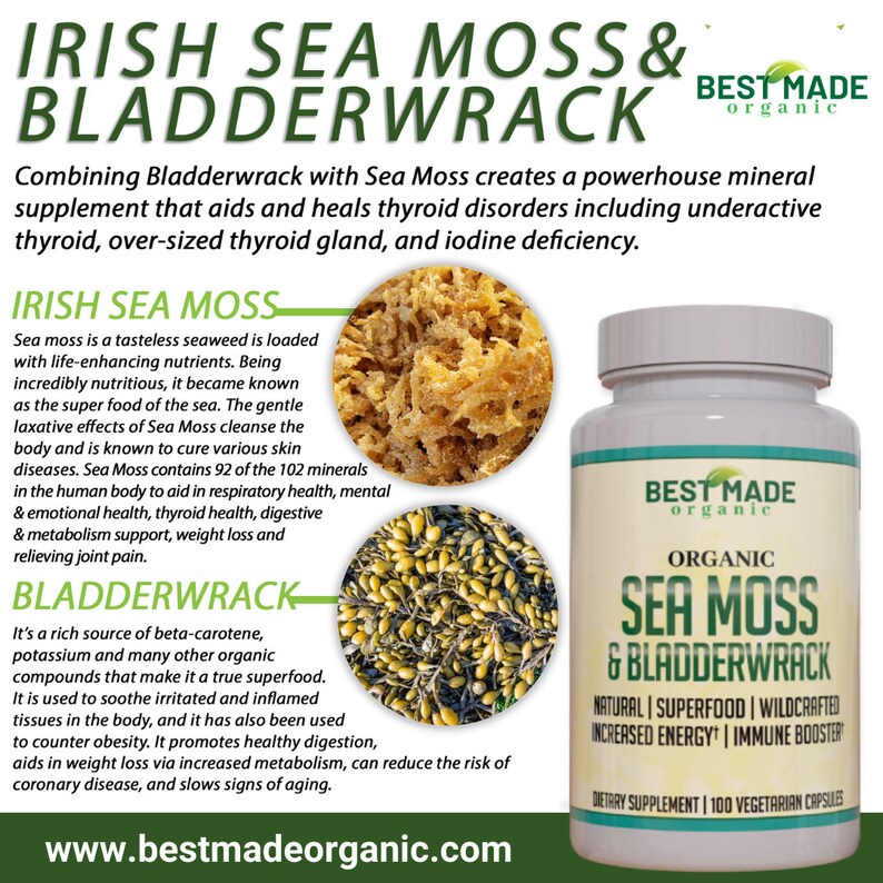 Sea Moss Capsules for Men With Bladderwrack Benefits 100 Pill Etsy