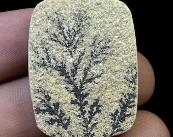 Natural Psilomelane Dendrite/German Dendrite Cabochon/German Dendrite Stone/Psilomelane Dendrite Oval Cabochon Gemstone/Rare Tree Gemstone