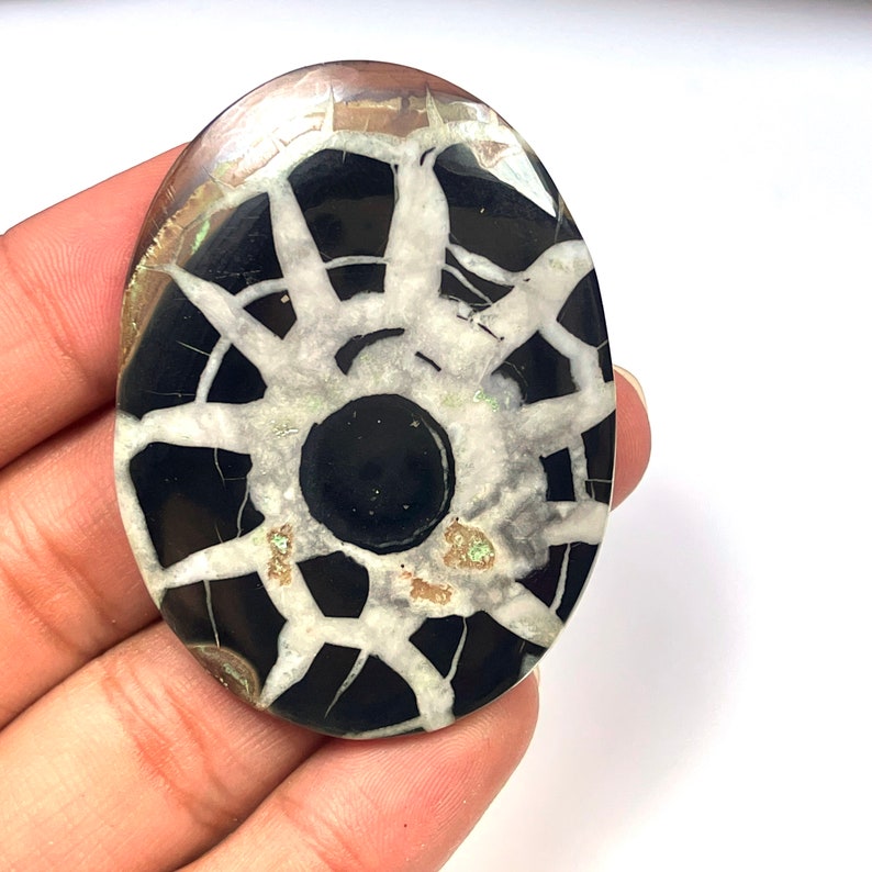 May include: An oval shaped stone with a white starburst pattern and a black centre. The stone has a polished finish.