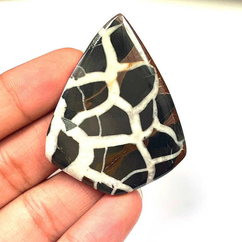 Op de afbeelding: Een zwarte, witte en bruine druppelvormige cabochon met een uniek patroon. De cabochon is gemaakt van natuursteen en heeft een glad, gepolijst oppervlak.