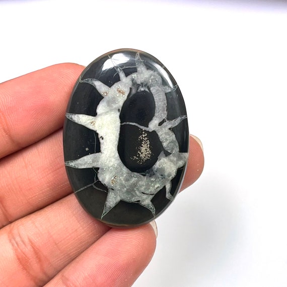 Natural BLACK SEPTARIAN/ARAGONITE Pear/Fancy/Oval Cabochon Loose Gemstone For Jewelry