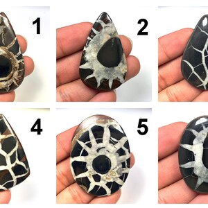 Op de afbeelding: Zes verschillende zwart-witte agaat cabochons met verschillende patronen. De cabochons zijn in de vorm van een traan en een ovaal. De cabochons zijn genummerd van 1 tot 6.