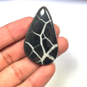 Op de afbeelding: Een zwart-witte traanvormige cabochon met een wit dendritisch patroon. De cabochon is gepolijst en heeft een glad oppervlak.