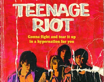 Sonic Youth "Teenage Riot" Outsiders Juvenile Delinquent Novel Paperback Mashup Art Print