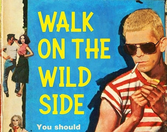 Lou Reed "Walk on the Wild Side" jaren 1950 jeugdige delinquent nieuwe Mashup Art Print