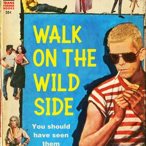 Lou Reed "Walk on the Wild Side" 1950s Juvenile Delinquent Novel Mashup Art Print