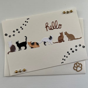 Greeting card, Cats card, friendship card, birthday card, all occasion card, pets, thank you