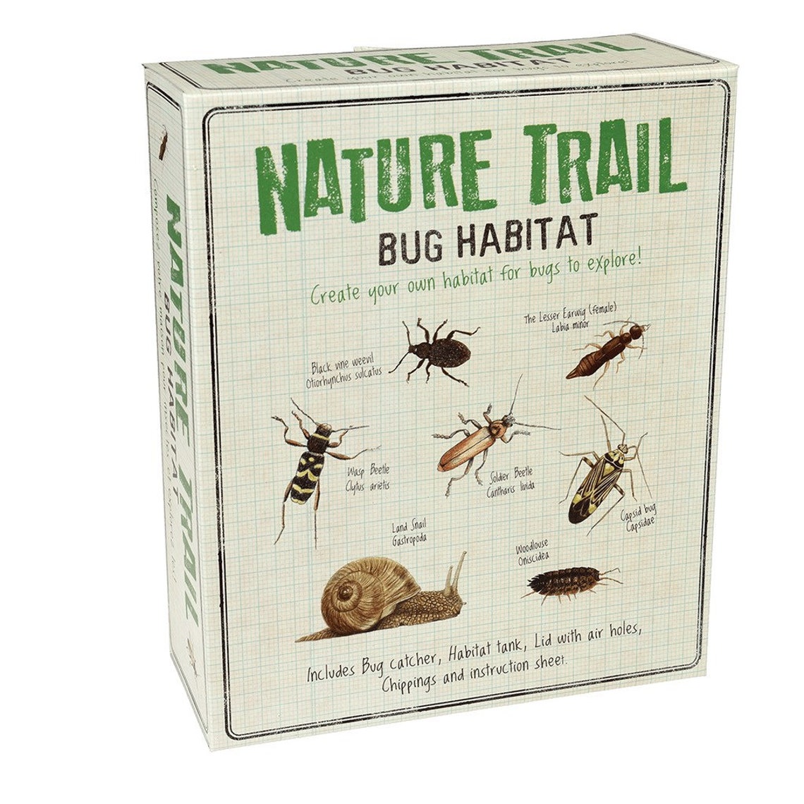 Make Your Own Bug Habitat. Kids Crafts. Craft Kit. Nature. Etsy
