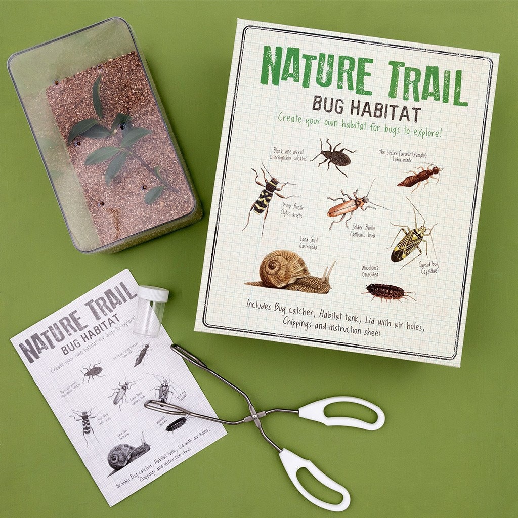 Make Your Own Bug Habitat. Kids Crafts. Craft Kit. Nature. Etsy UK