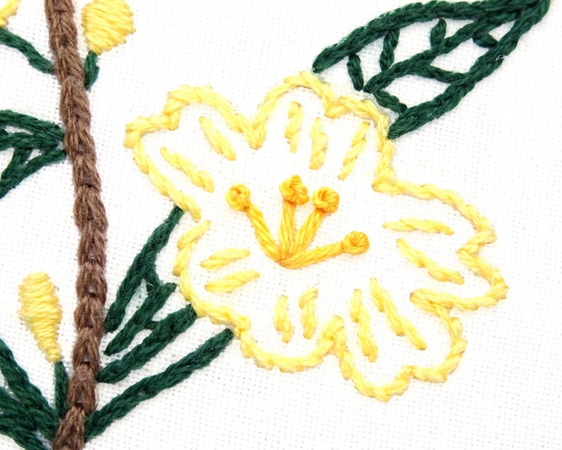Jasmine Flower Hand Embroidery Pattern PDF South Carolina Etsy