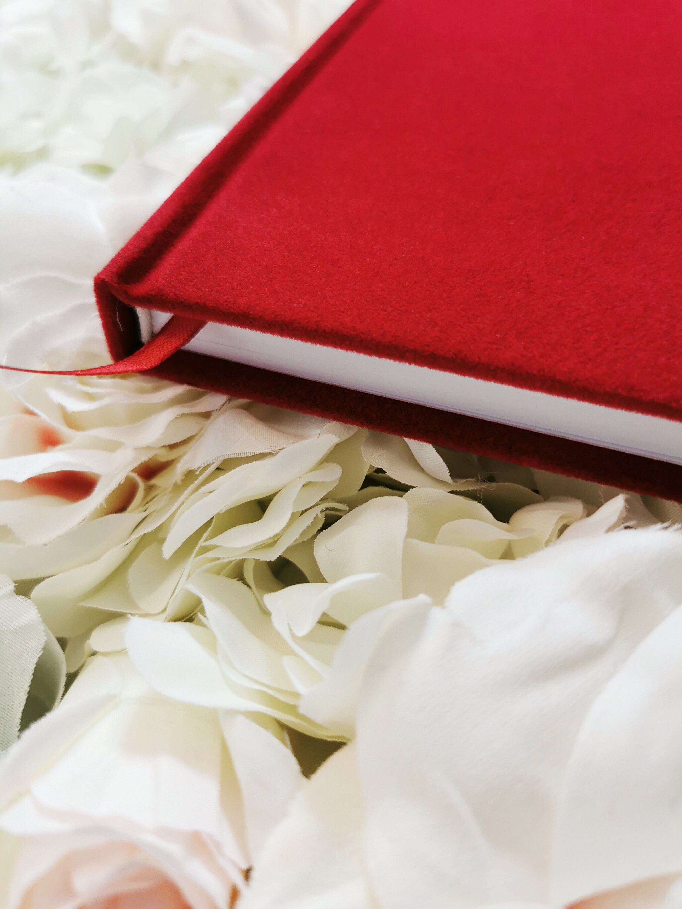 Personalised A5 velvet notebook velvet book velvet notes Etsy
