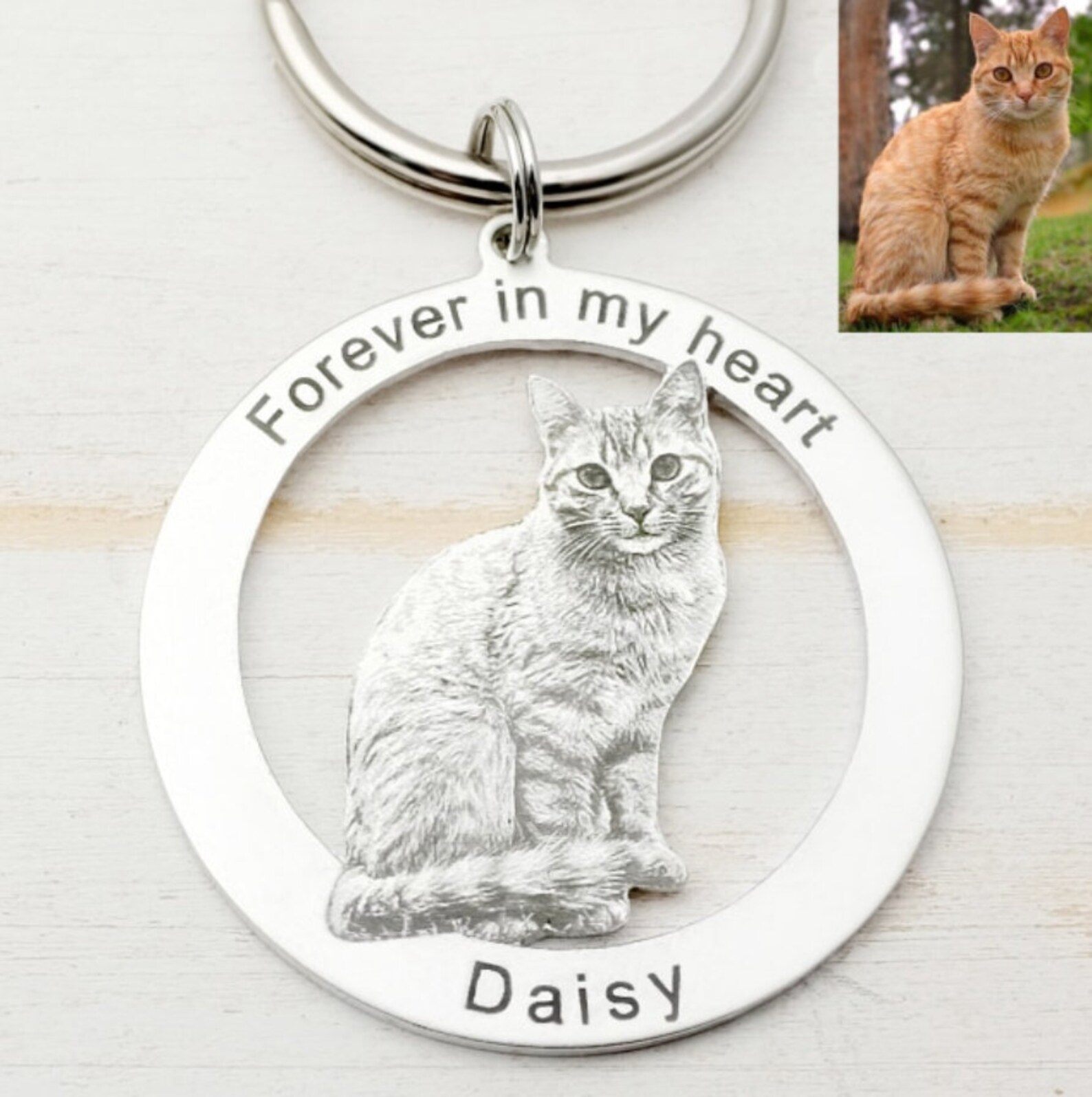 Hundehaar-Sammler Schlüsselanhänger - Transparente Aufbewahrung Für Fell & Erinnerungen