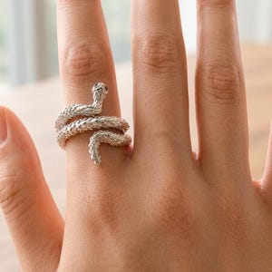 May include: A silver-toned ring shaped like a coiled snake with a textured, scale-like surface. The snake wraps around the finger, with its head positioned at the top and its tail curving downward, featuring small dark accents for the eyes.