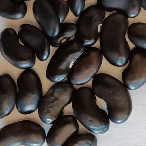 May include: A close-up of numerous shiny, dark black beans. The beans are oval and have a smooth texture. They are spread across a light-coloured surface, possibly for culinary or agricultural purposes.