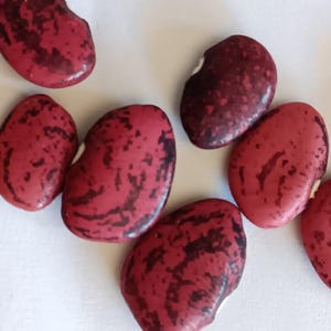 Peut inclure: Gros plan sur des haricots rouges et noirs avec un motif marbré. Les haricots ont une forme de rein et une texture lisse.