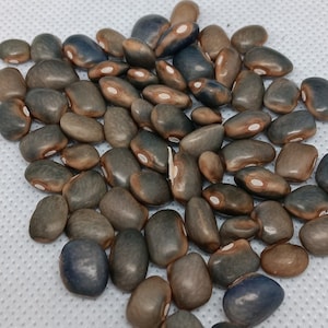 Könnte beinhalten: Ein Haufen gesprenkelter Bohnen mit einer Mischung aus Braun, Grau und Blau. Jede Bohne hat einen markanten weißen Fleck. Die oval geformten Bohnen scheinen ein natürliches Lebensmittelprodukt zu sein.
