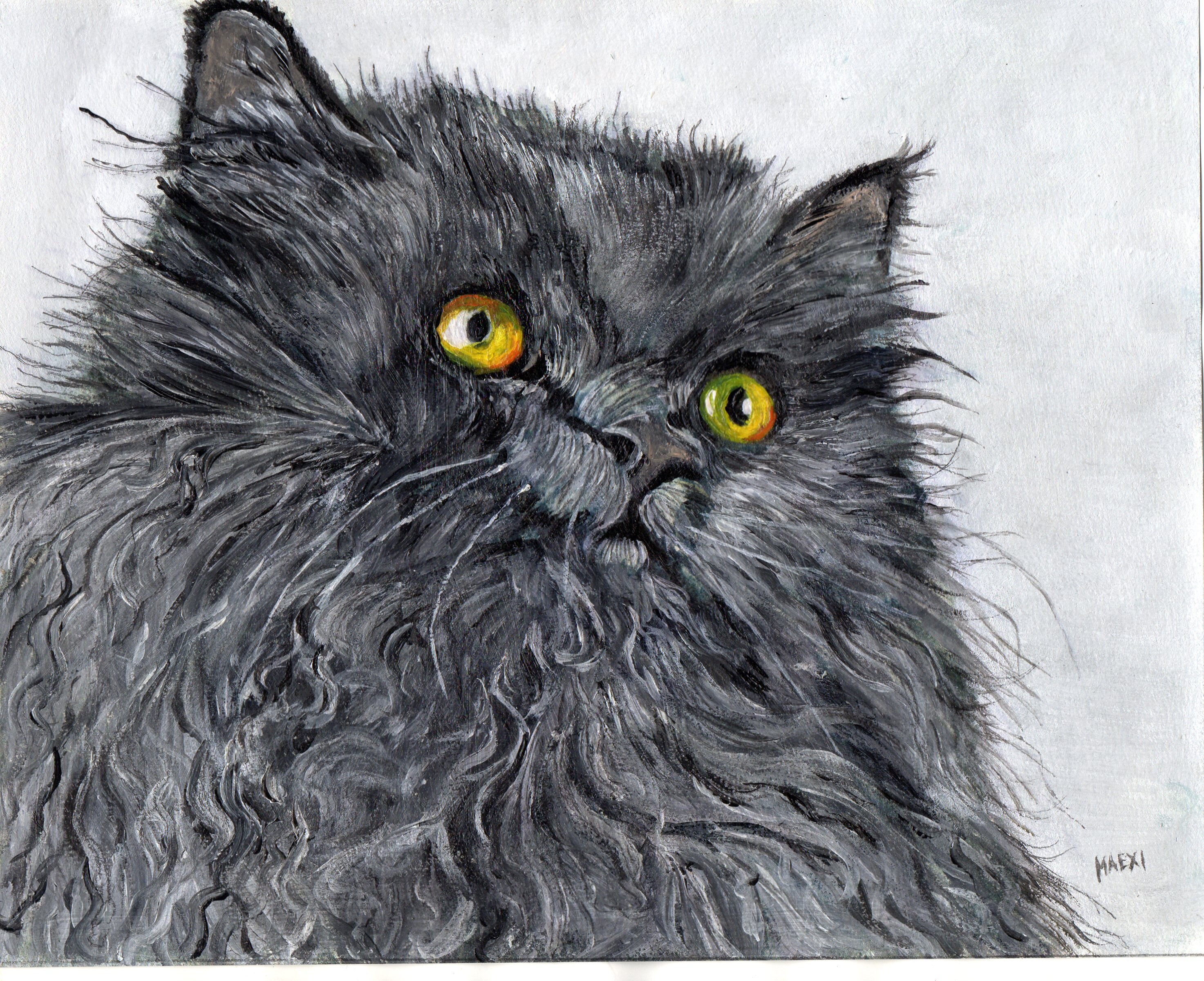 Chat Angora Noir Etsy Chat Angora Noir Etsy